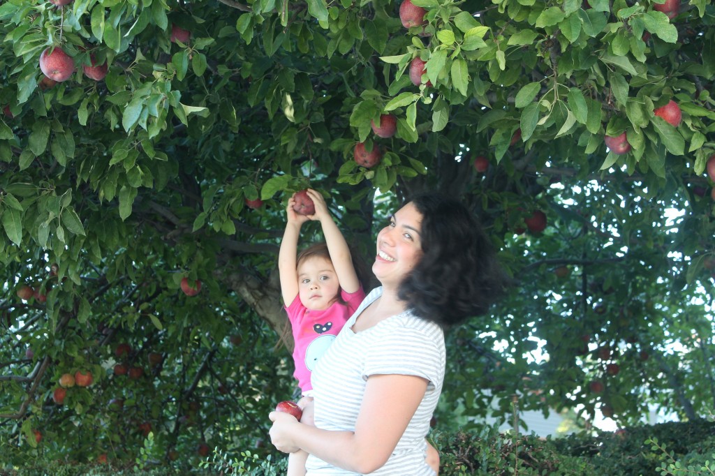 Lydia spent a looong time picking apples off the tree and throwing them down our street. We live on 12th avenue, which means the apples rolled down twelve blocks before they reached level ground. Quite a thrill for these worm-filled pome fruits.