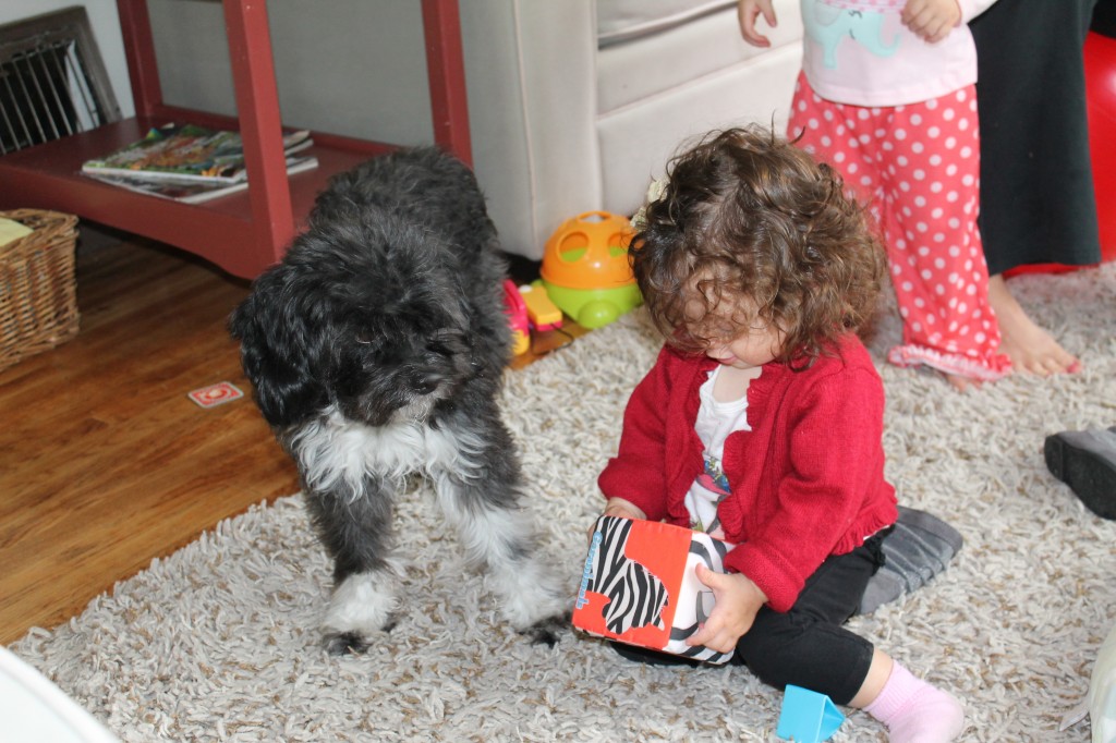 Mary playing with Rocko. Lydia thinks this little fluff ball is more terrifying than any boogie monster.