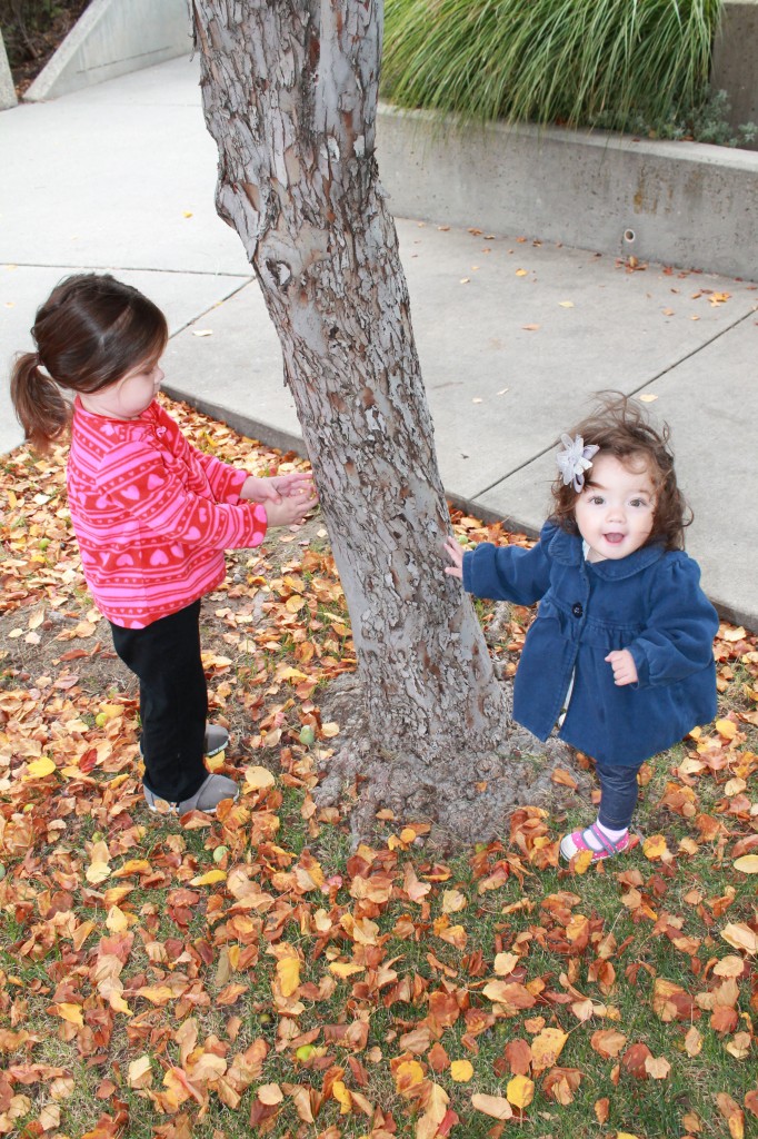 Outside the library, I introduced the girls to the texture of bark. They were enamored for the next five minutes.