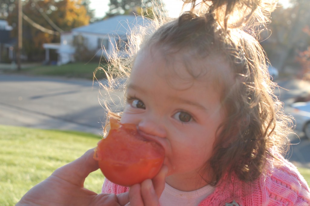 Mary was especially excited about the tomato. Look at that damage she did all by herself--with only two bottom teeth!