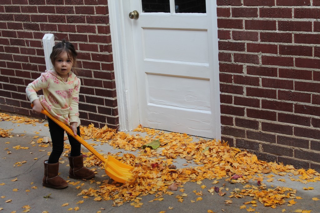 Remember that beautiful yellow tree outside the girls' window? All the leaves fell off in one night, and the ground outside was completely covered in these delicate, bright yellow leaves. Lydia wanted to shovel them, and I wanted yellow pictures, so it was a win-win situation.