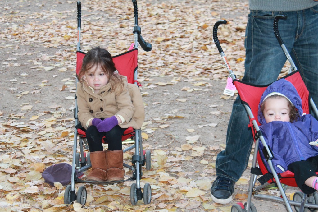 After naps, we went to Wheeler Farm with Swathi's cousin, Balu. We went on a wagon ride, walked around, fed the ducks, did a maze and picked pumpkins. Here are the girls watching the ducks while Balu feeds them.