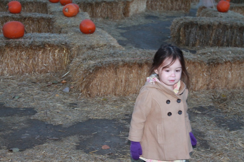 Selecting pumpkins.