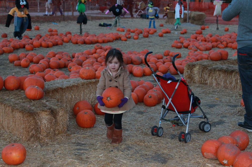 She picked one! (Actually, three. But this is one of the three.)