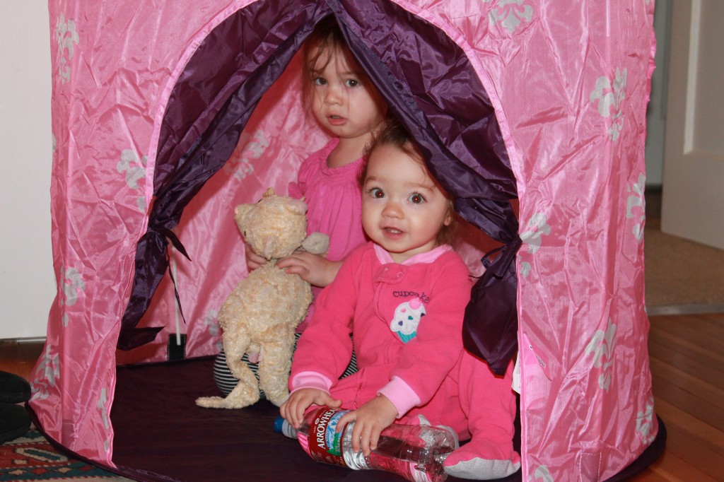 Uncle Clark and Aunt Swathi gave the girls a castle tent. Now each girl has one.
