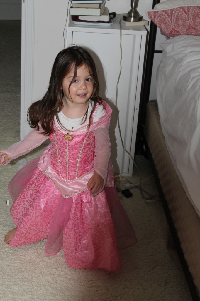 Lydia wore her princess dress on and off all day. It was a little tricky because her nose kept bleeding on and off all day too. The dress stayed clean until the second to last nosebleed...I am afraid that Lydia and I gave higher priority to her dress than to her poor nose.