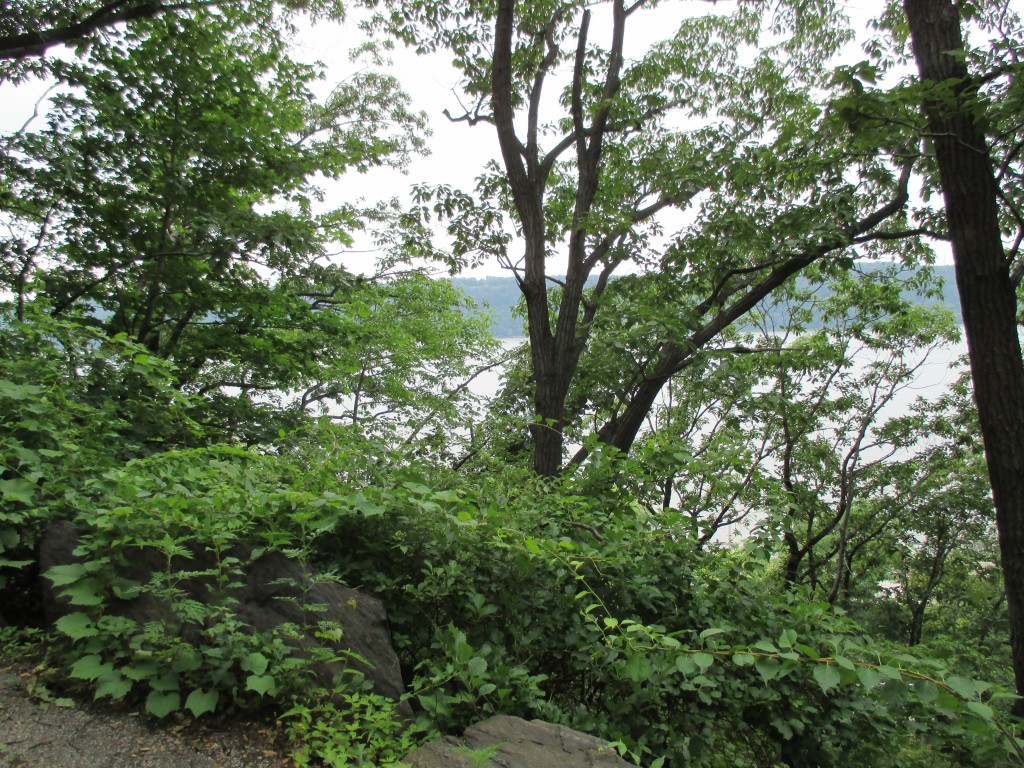 We walked through Fort Tryon Park (the one with the Cloisters) on the way home from church.
