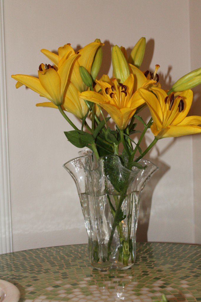 Abe bought me flowers yesterday. Aren't they cheerful?