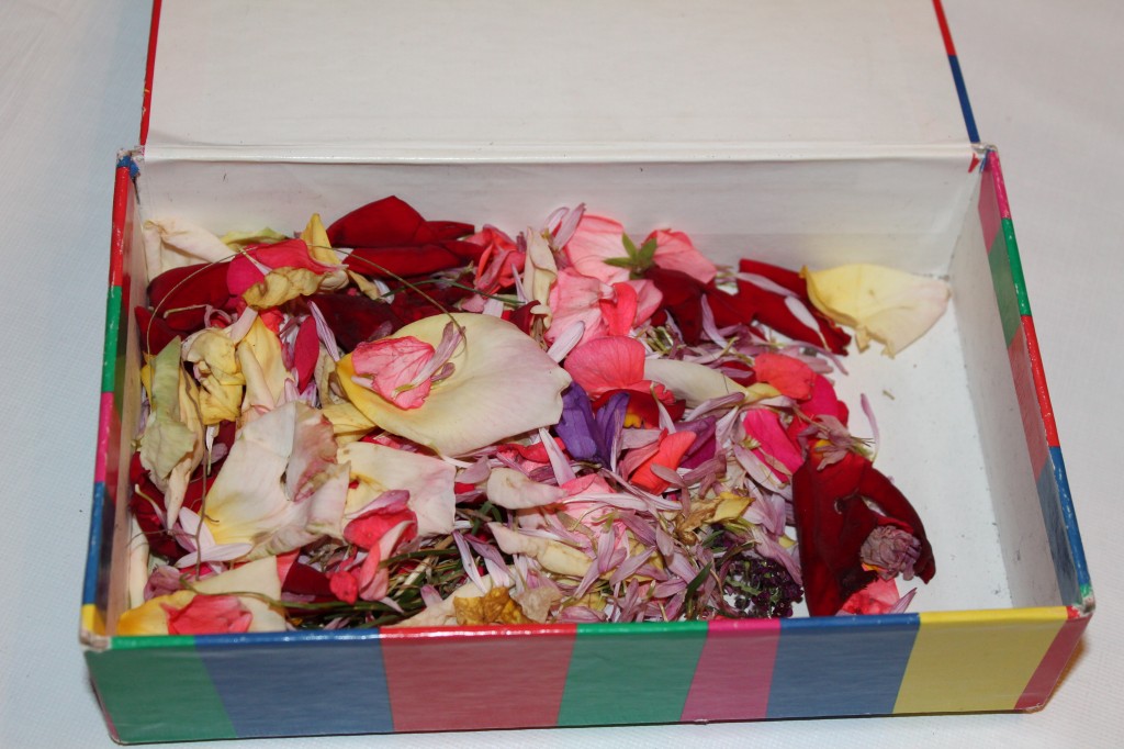 While I packed, Lydia was outside with Abe collecting petals from all of the dying flowers in the garden. She meticulously collected each petal in this box...and then proceeded to accidentally spill them all. She carefully put them back in, one by one. This picture represents a good hour of her day.