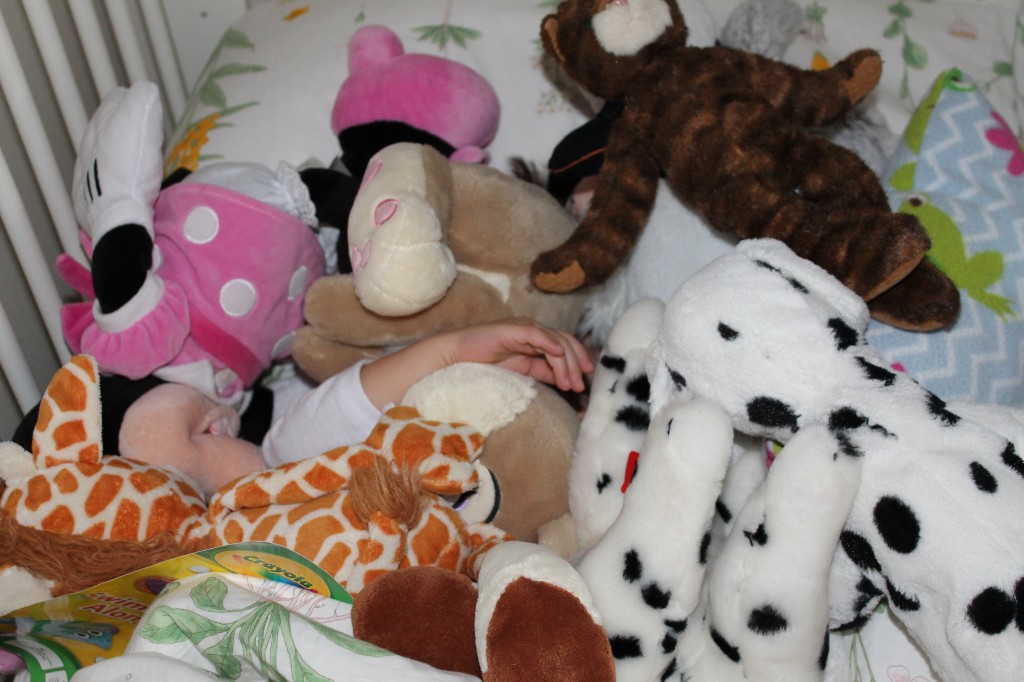 Mary sleeping with her stuffed animals. Can you find her in there?