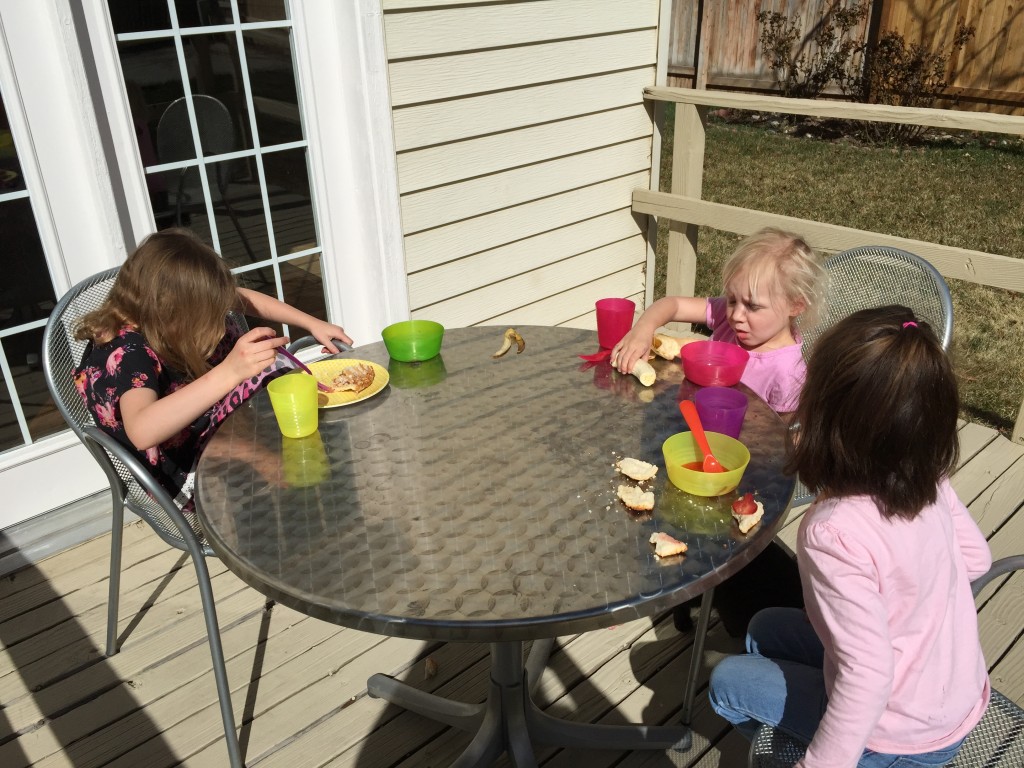 Today the girls had a play date with the neighbors. We've had several scheduled, but they've always been canceled because of illness. Yay for spring.
