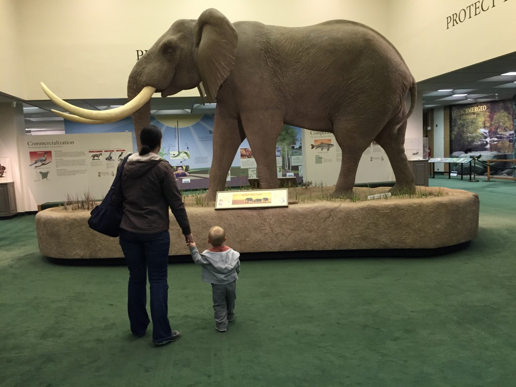 Henry was very taken by the elephant.