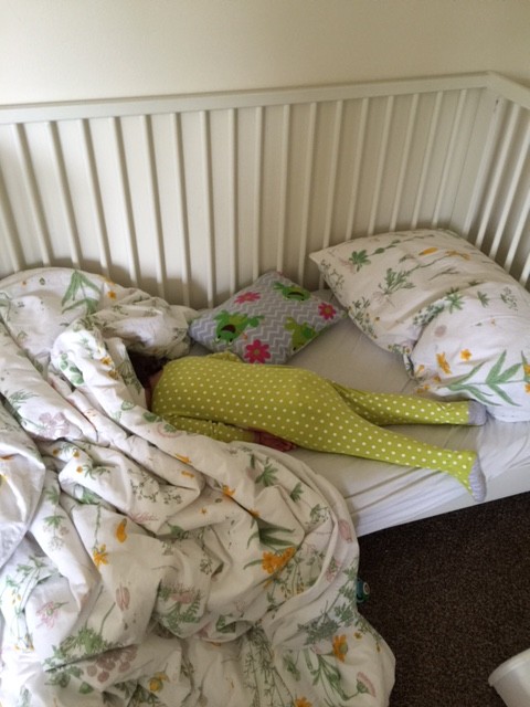 Mary slept in this morning. Amid the hustle and bustle from the rest of us, she remained like this.