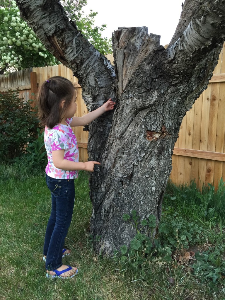 The fairy tree. Lydia is pointing to the door wherefrom the fairies emerge.
