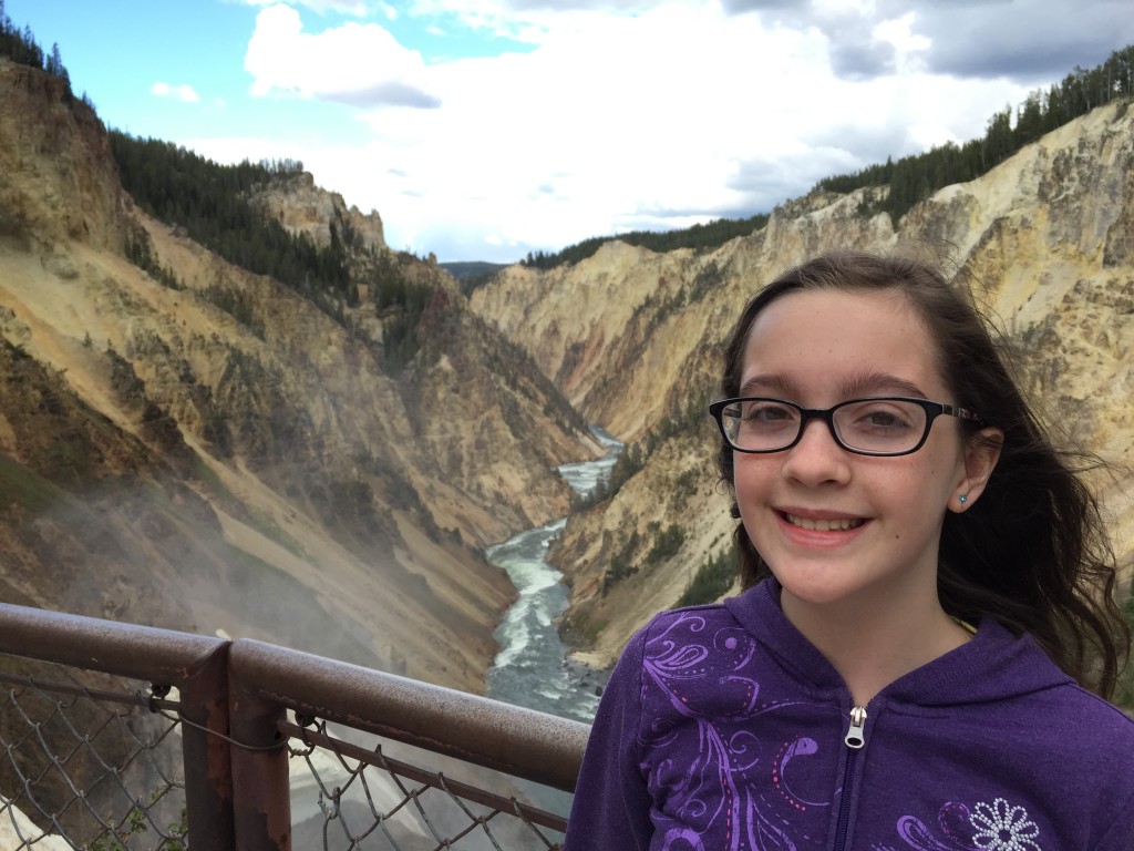 The Lower Falls lookout to the Grand Canyon of the Yellowstone.