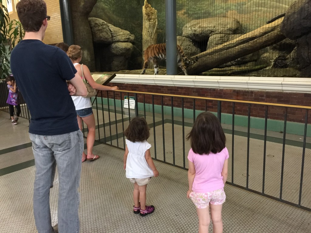 The girls also enjoyed the tiger.