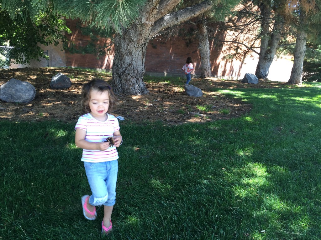 Hunting for pinecones after we left the gym this morning. 