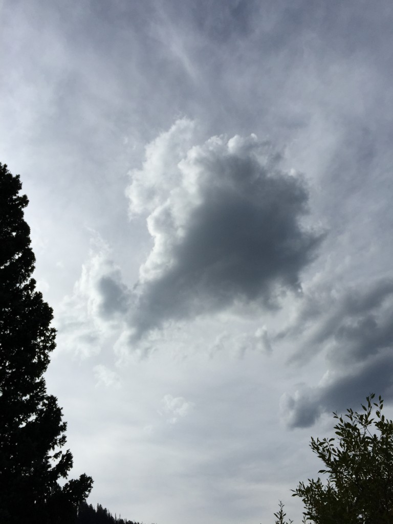 This cloud looked just like a face!