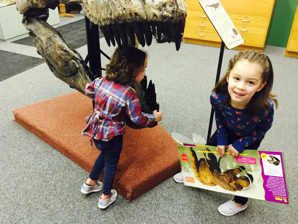 Lydia is enthused to be reading about a T-Rex while standing next to a T-Rex skull.