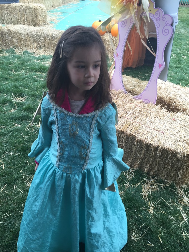 I am so paranoid about lice that I blew dry Lydia's hair tonight because she tried on three dresses at the princess costume tent.