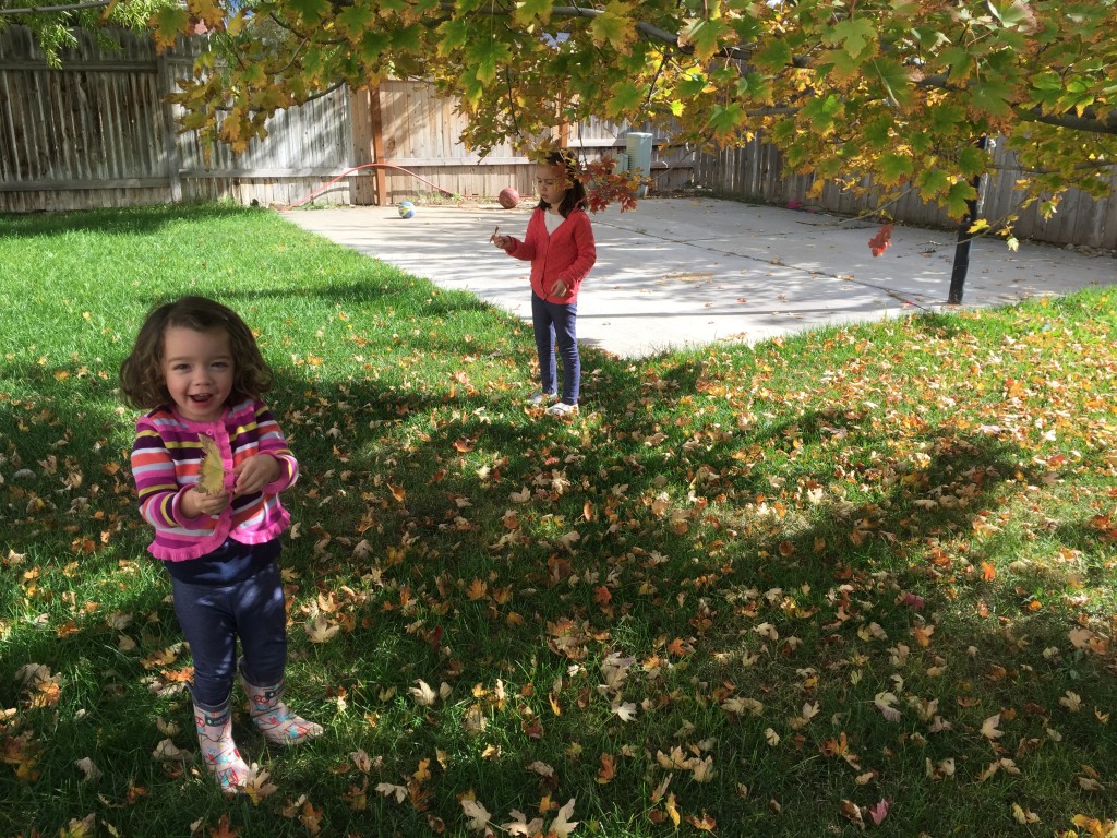 We went outside and picked leaves for leaf art because the girls had been inside all day AND because today was gorgeous! I wish I felt up to taking better advantage of this beautiful autumn weather, but leaf art sufficed for today.