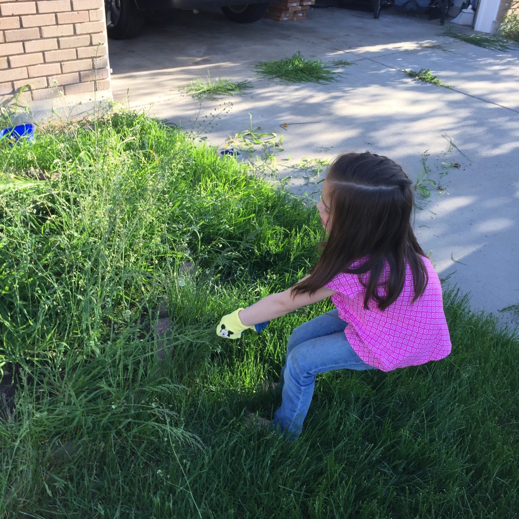 Lydia was an incredible helper. We were so proud of the way she weeded and threw away debris with gusto.