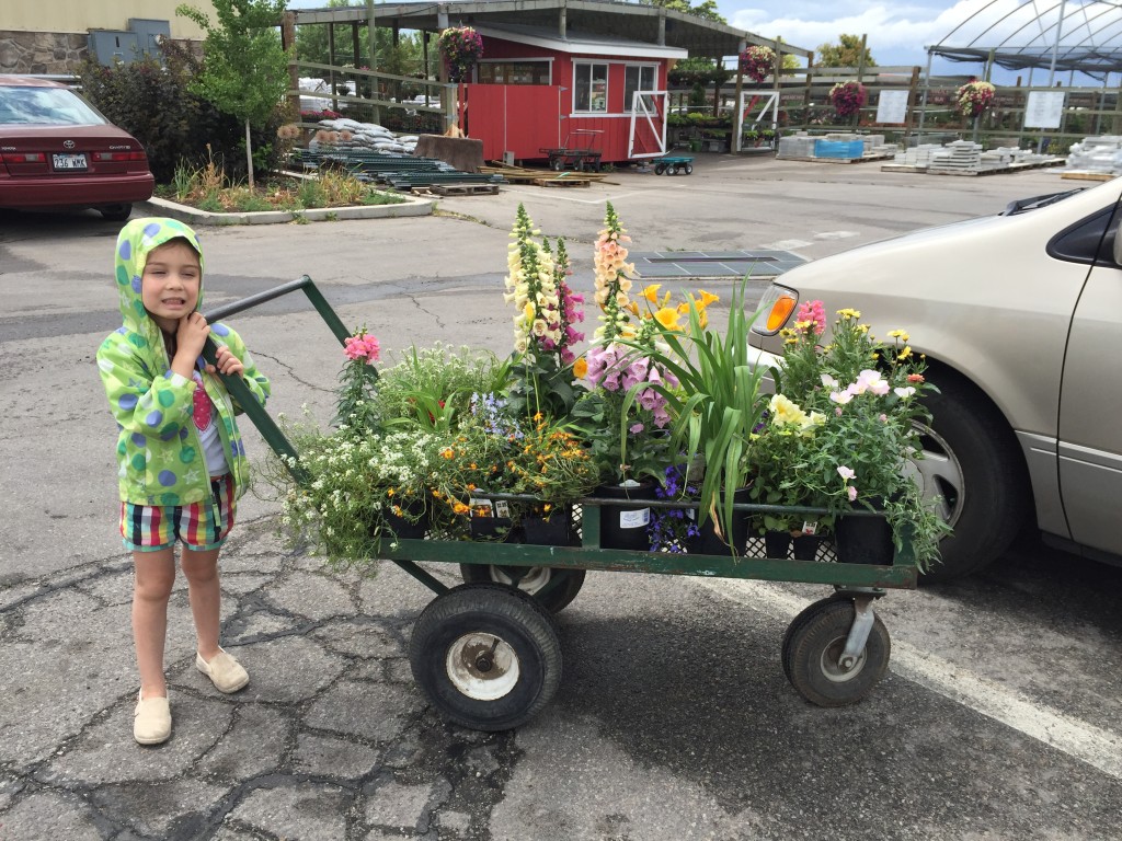 Lydia and I went to the nursery to buy flowers this morning.