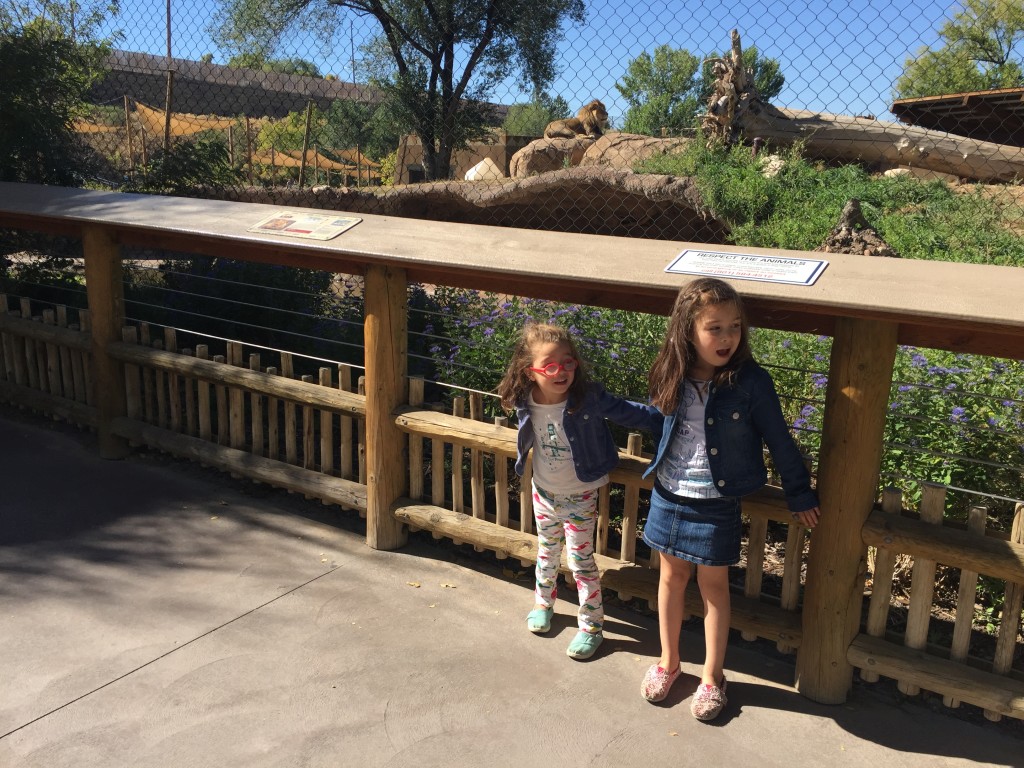 The animals honored Mary's birthday by being visible today! Here are the girls in front of the Lion. 