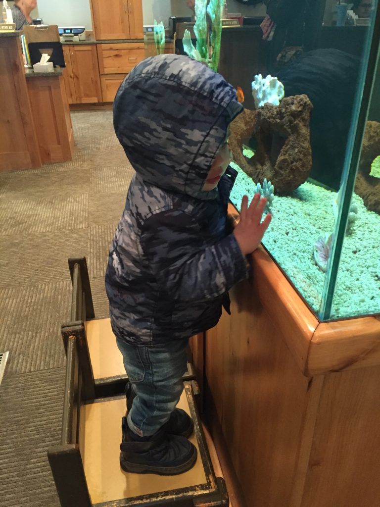 He had fun before the shots, though! He loved the aquarium.