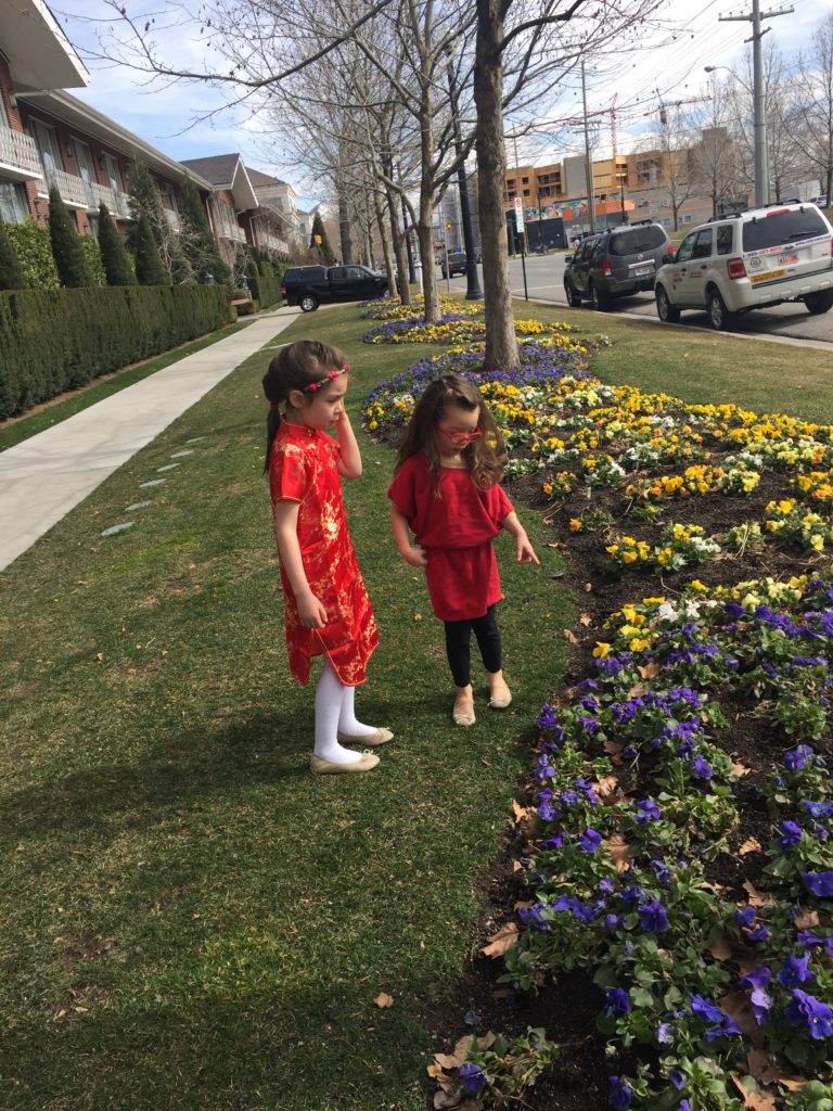 On our walk from our car to the hotel, the girls enjoyed watching butterflies and the flowers.